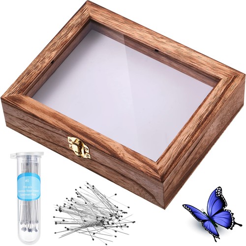 Willbond insect display case - display,
