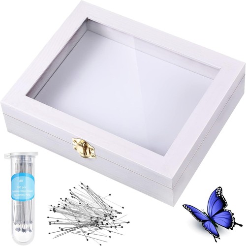 Insect display case bug - insect,