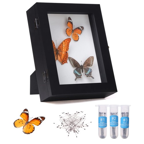 Insect display case wall mount - display,