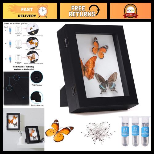 Insect display case shadow - insect, box