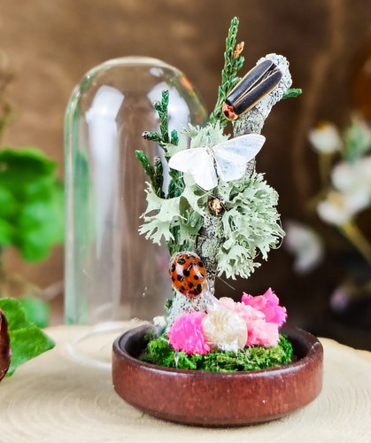 Lightning bug moth glass - &,
