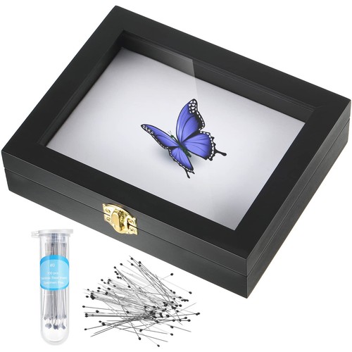 Insect display case bug box - insect,