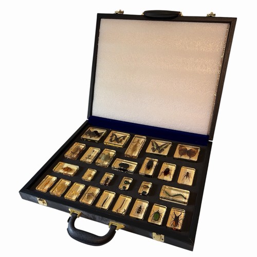 Nib case labeled - nib, resin