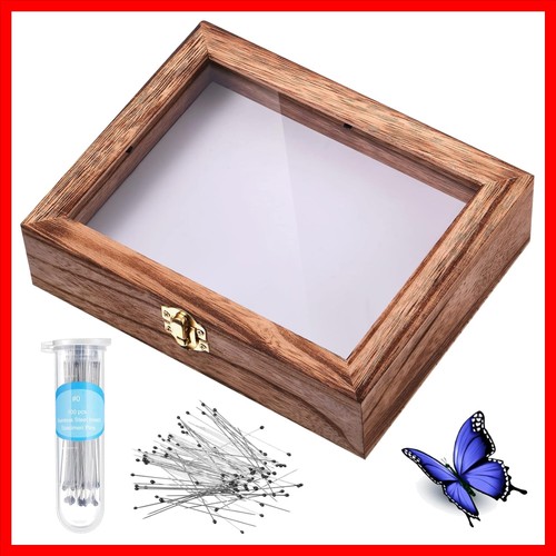 Insect display case - insect,