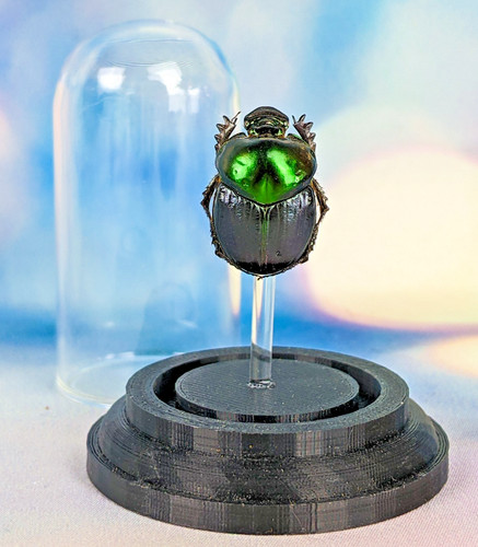 Green dung beetle glass dome - green,