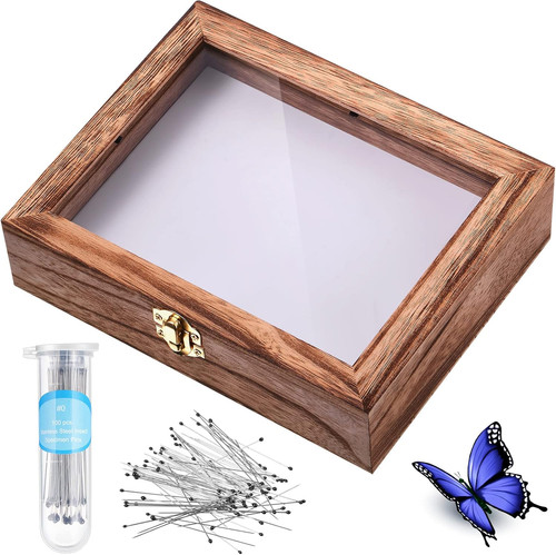 Insect display case bug - insect,