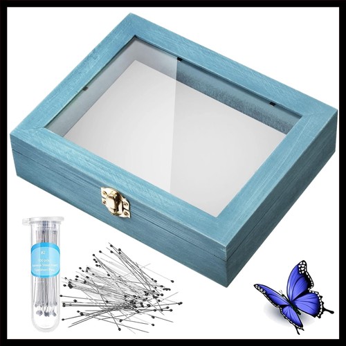Insect display case bug box - display,