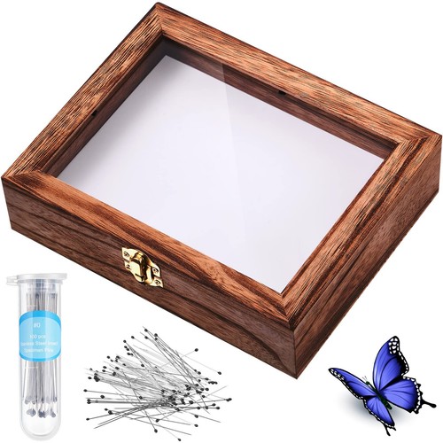 Insect display case bug - case, box