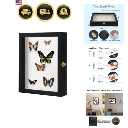Insect display case wall mount - display,