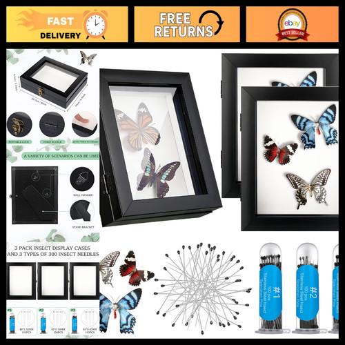Insect display case wall mount - wall,